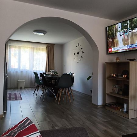 Casa Cerbului Apartment Vişeu de Sus Екстериор снимка