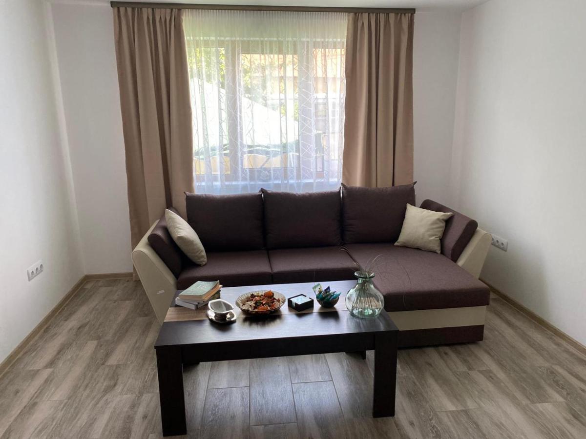 Casa Cerbului Apartment Vişeu de Sus Екстериор снимка