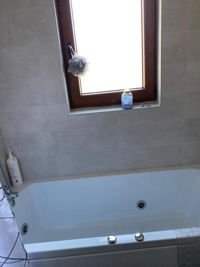 Casa Cerbului Apartment Vişeu de Sus Екстериор снимка