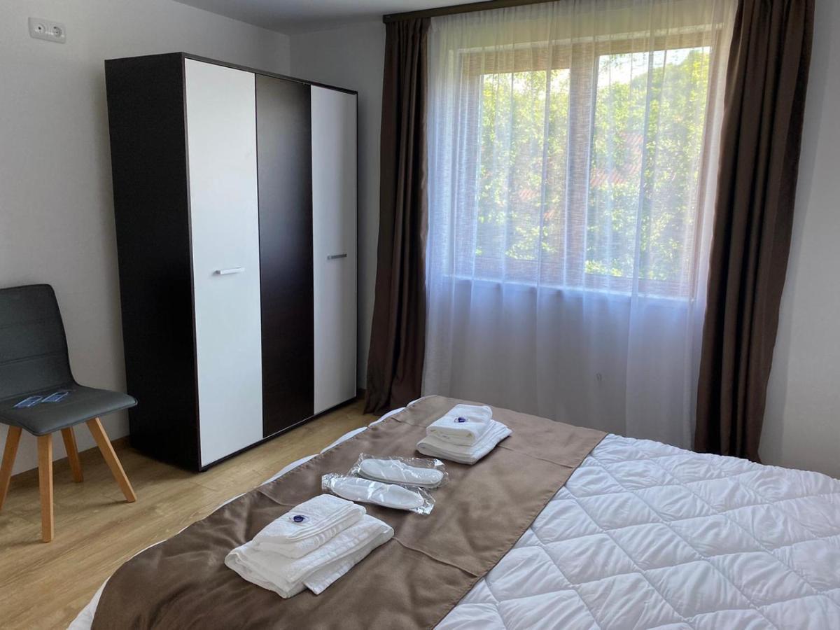 Casa Cerbului Apartment Vişeu de Sus Екстериор снимка