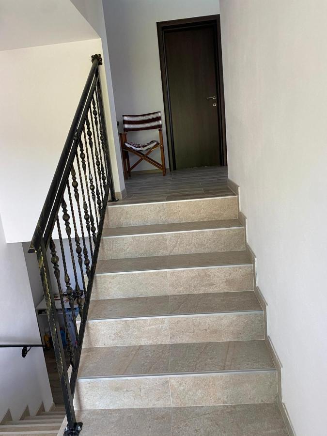 Casa Cerbului Apartment Vişeu de Sus Екстериор снимка